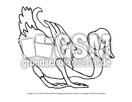 Ausmalbilder-Stockente 6.pdf